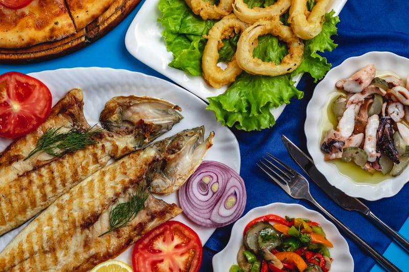 Deniz Canlıları ve Balıklar Eğitimi