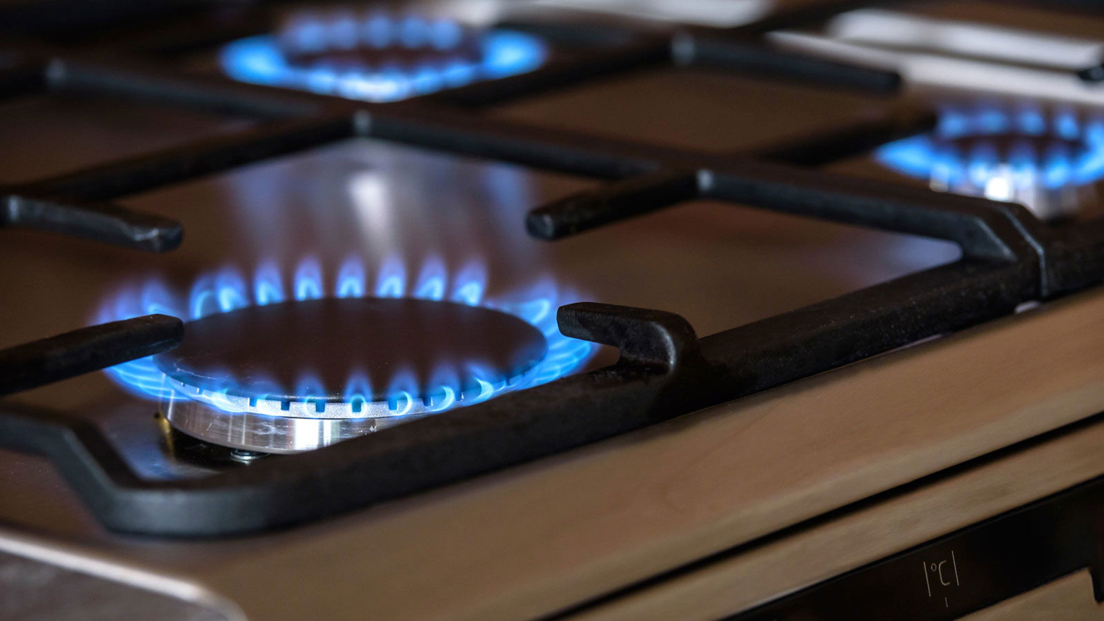 Lagara Investments Company Limited Urges Women to Embrace Clean Cooking Technology