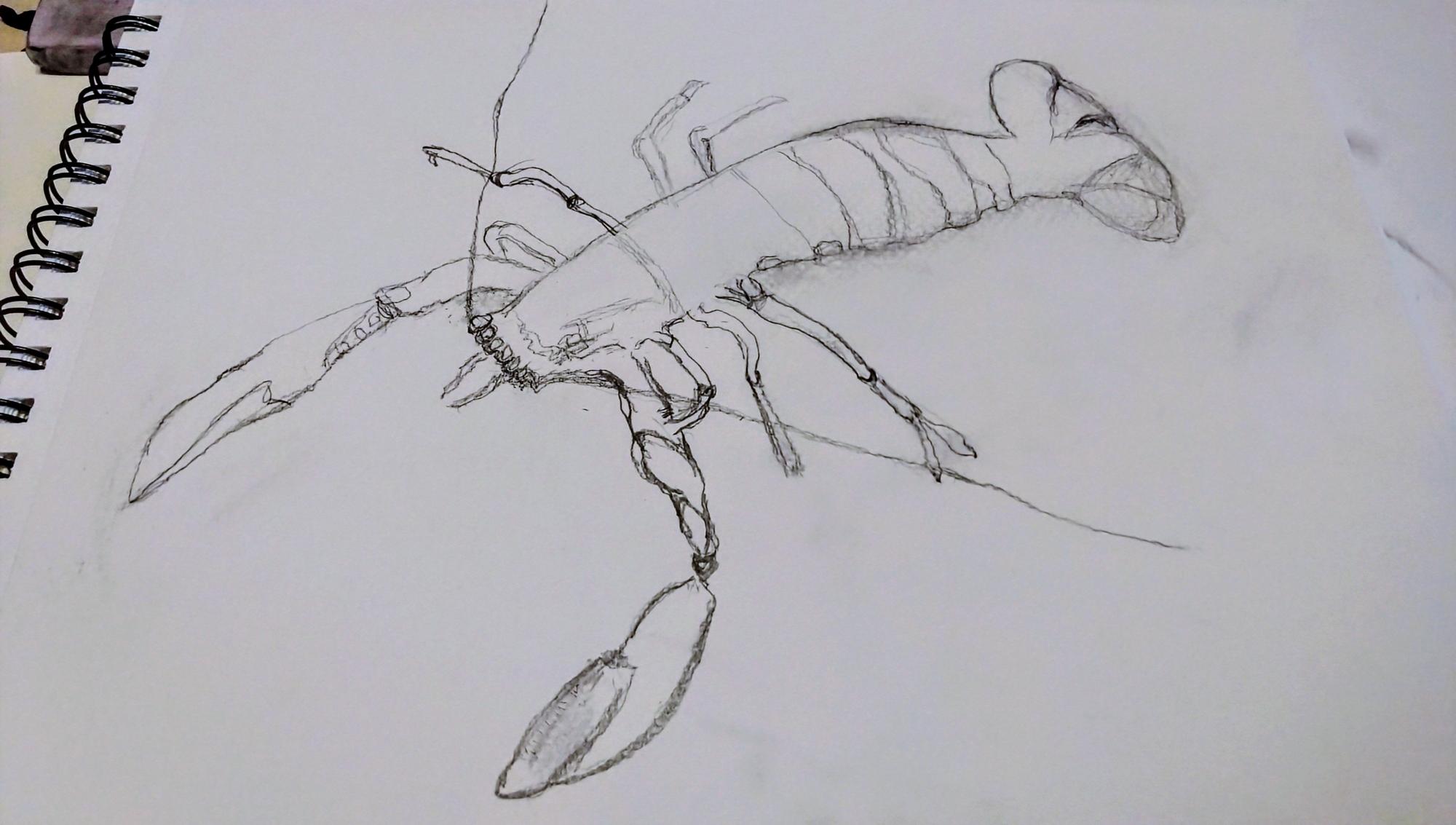 "Kreps", A4 , pencil