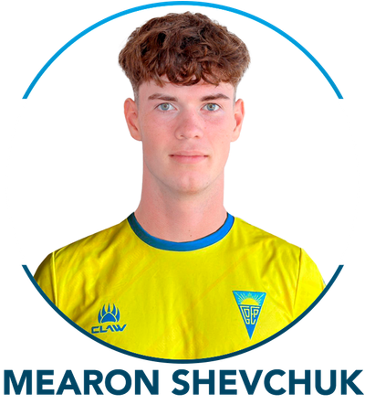 MEARON SHEVCHUK SULLIVAN