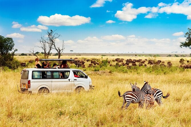 Budget-Friendly Kenya Safari (5 Days) – Maasai Mara & Lake Nakuru