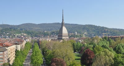 LICEALI   (I)