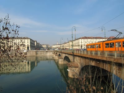 LICEALI (II)