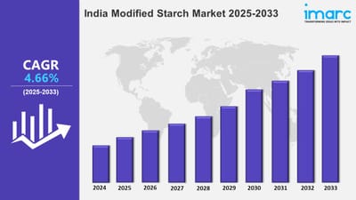 India Modified Starch Market Analysis, Size, Share, Growth and Outlook 2025-2033