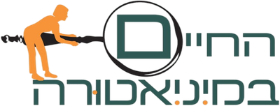 מיניאטורות