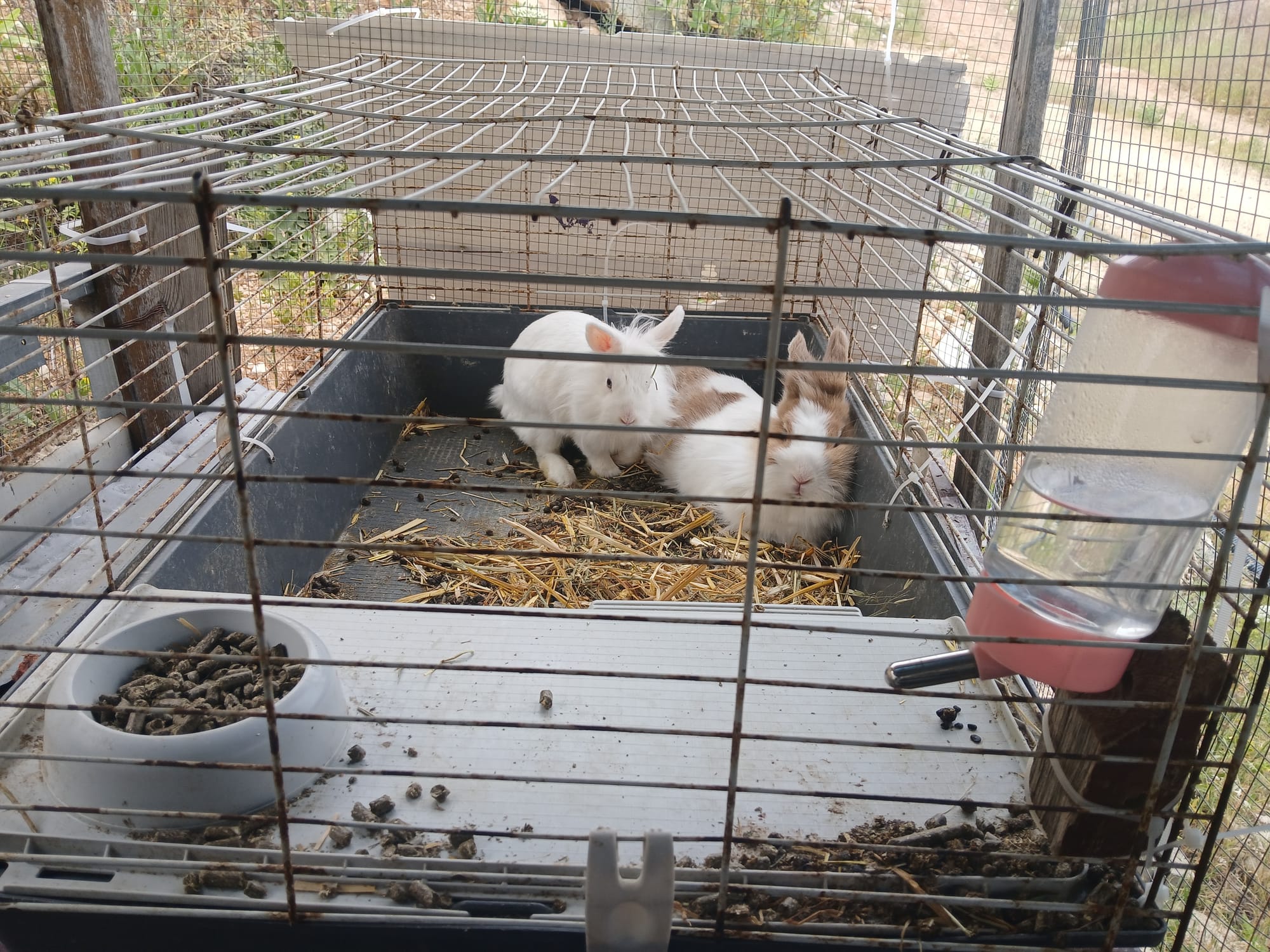 פעילויות ילדים