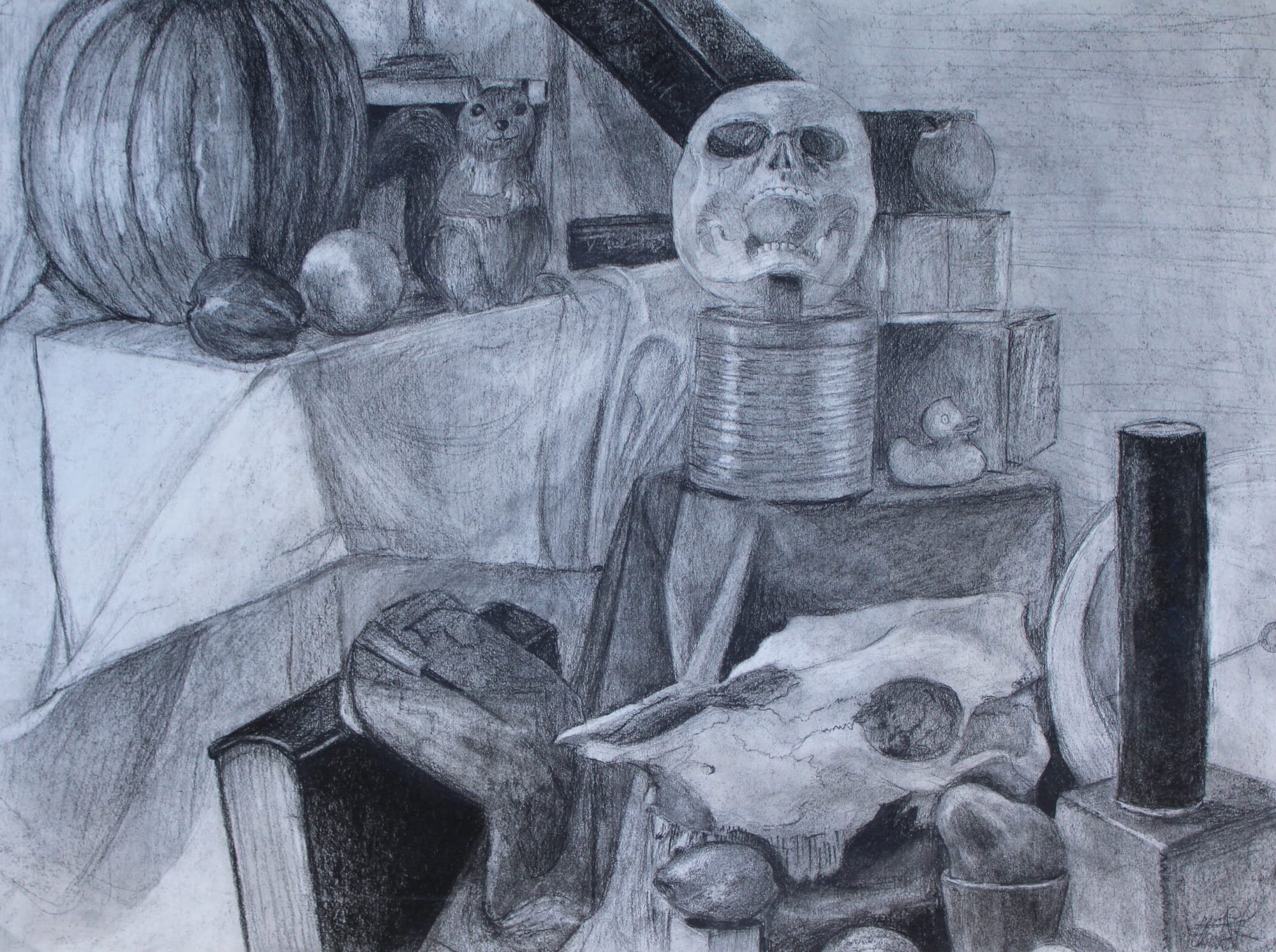 Still Life Study