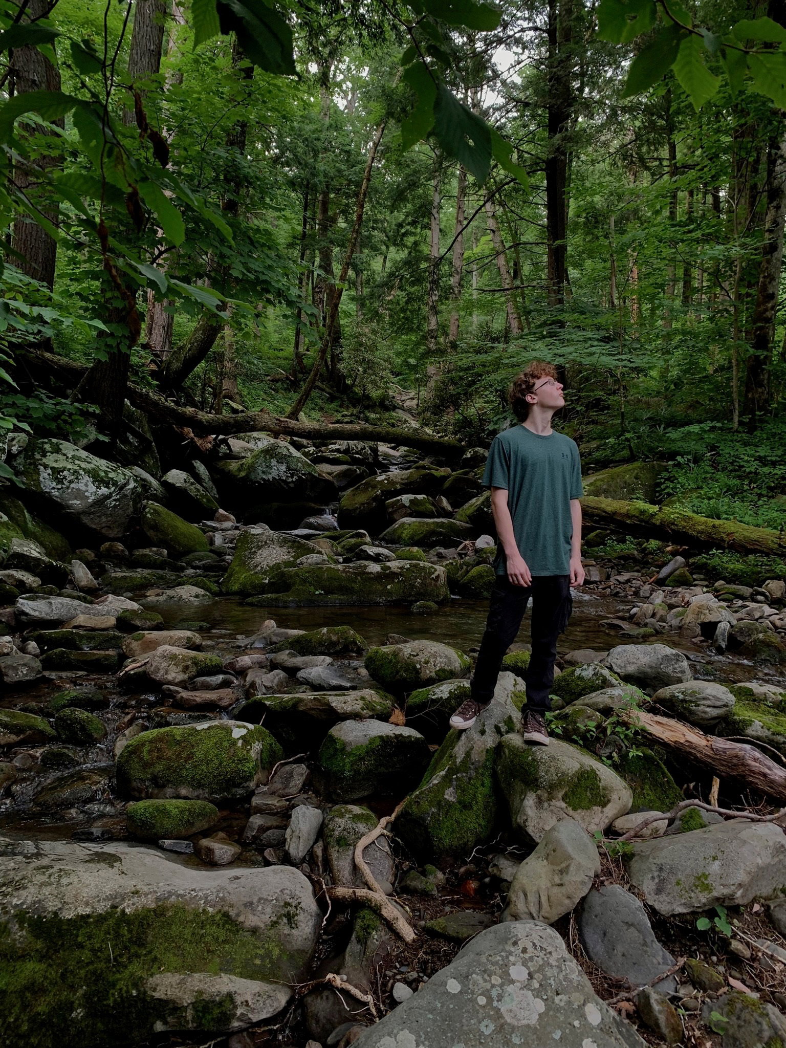 Tennessee Wilds