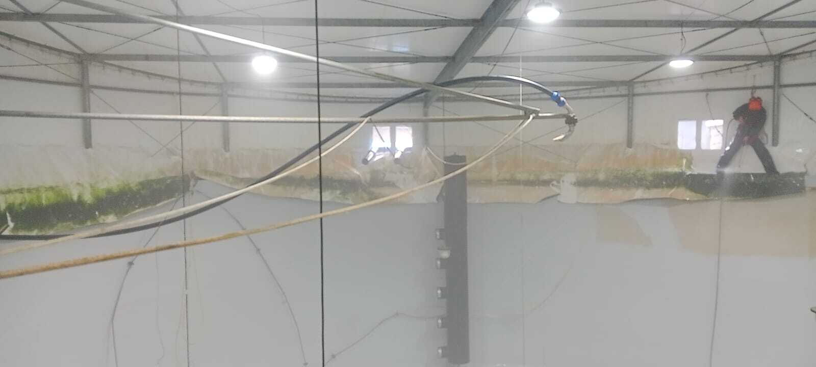 PLANTAS DE AGUA DULCE