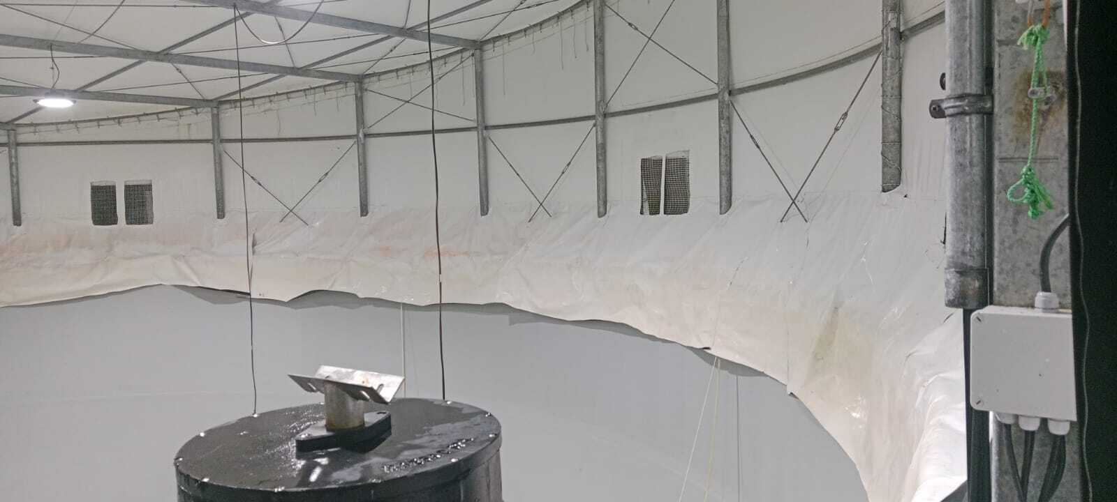 PLANTAS DE AGUA DULCE