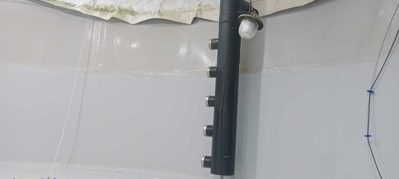 PLANTAS DE AGUA DULCE