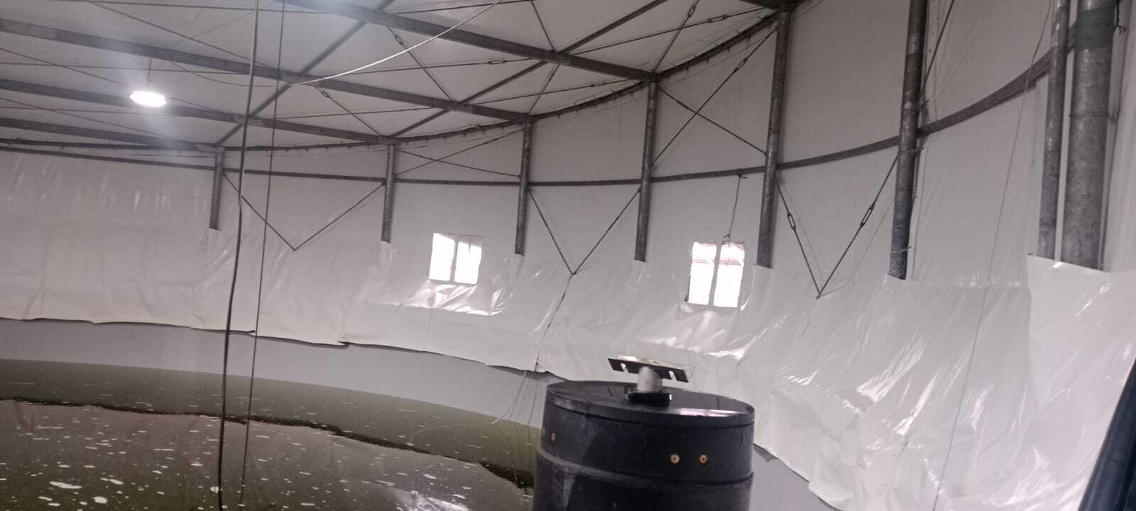 PLANTAS DE AGUA DULCE