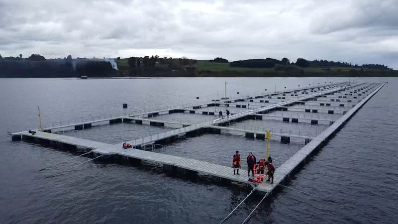 MANTENCIÓN DE MÓDULOS