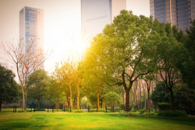 How Sector 150 Noida Became the Greenest Residential Hub in Noida