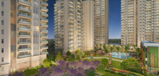 Noida Expressway Projects