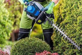 Hedge Trimming