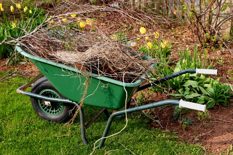 Spring And Fall Cleanup
