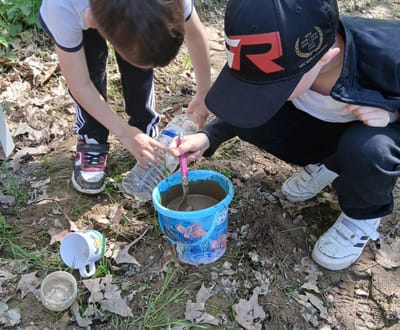 Les Chouettes Aventuriers 