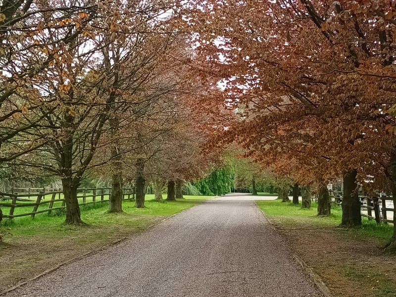 🧀 Balade Fromages et Paysages 🌿