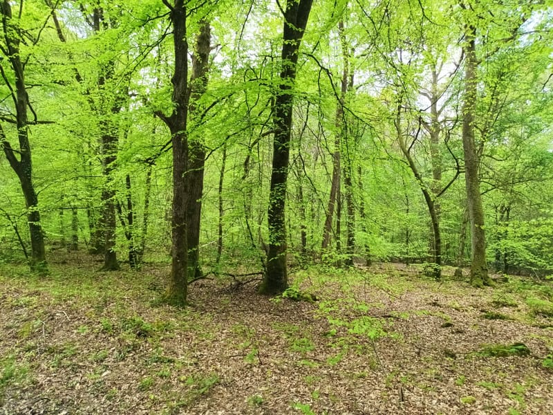 🎖️ La Compagnie : Mission Bocage