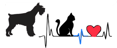 Patologias Cardíacas