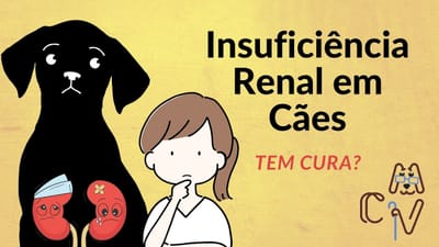 Insuficiência Renal