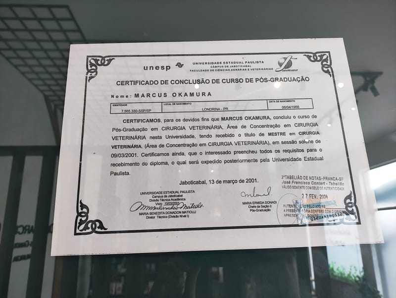 Diploma, Cursos e Certificados 