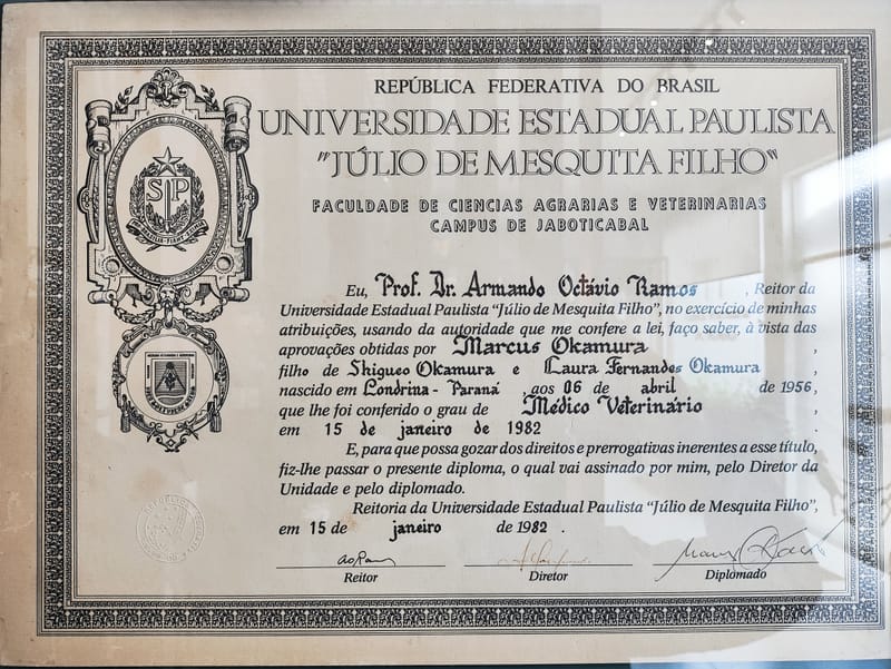 Diploma, Cursos e Certificados 