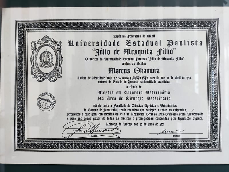 Diploma, Cursos e Certificados 
