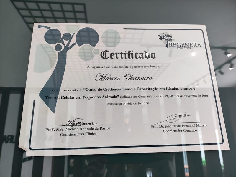 Diploma, Cursos e Certificados 