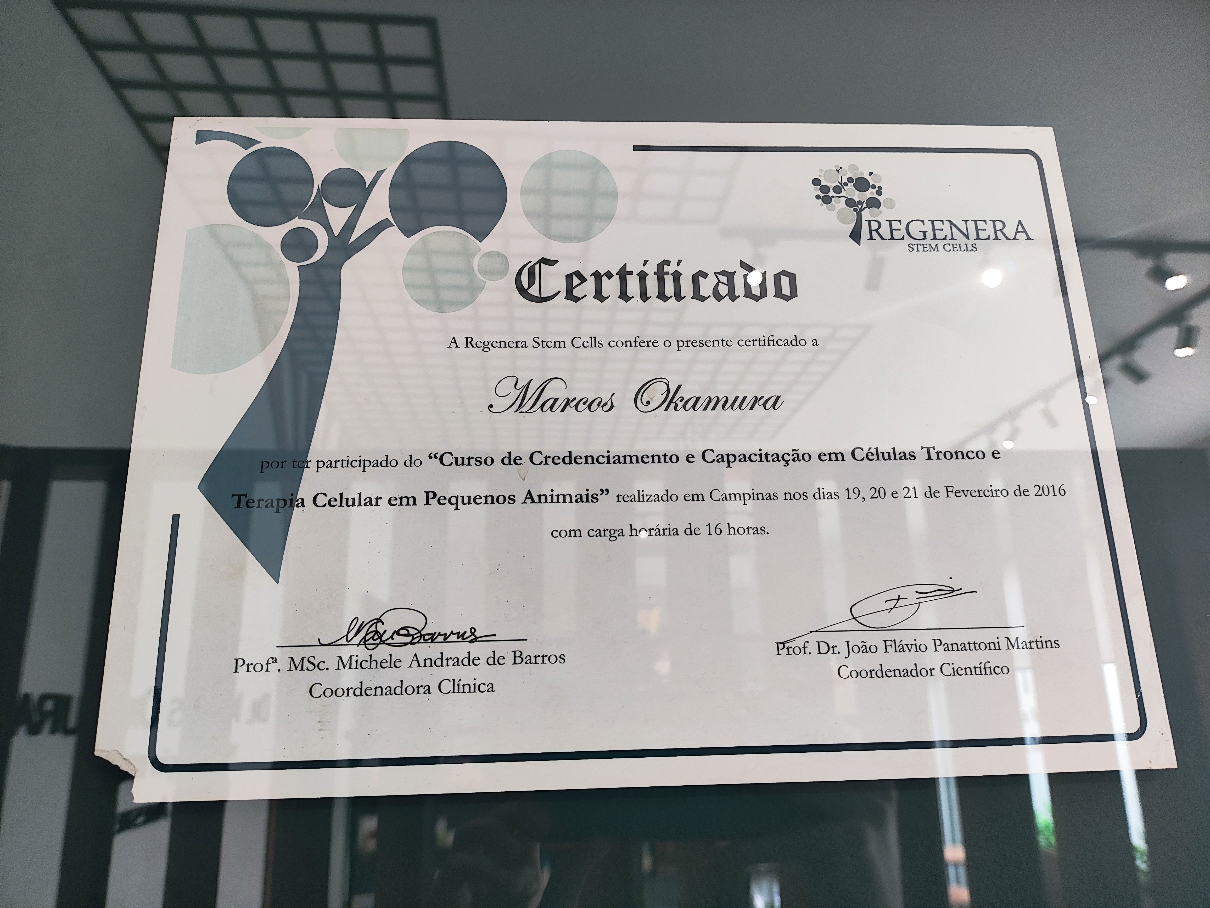 Diploma, Courses and Certificates