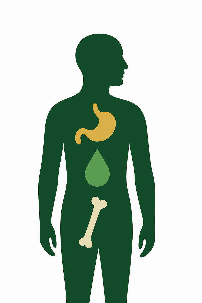 EVALUACIÓN DE BIENESTAR