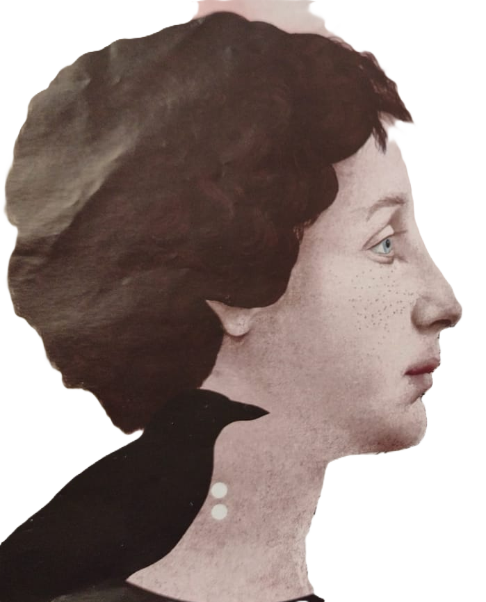 PDF da Revista Defiças