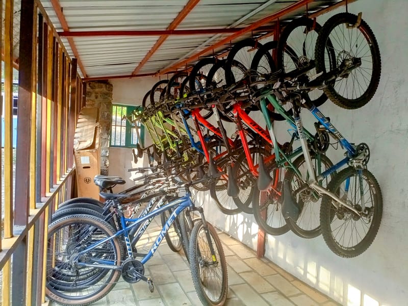 Bike Rentals