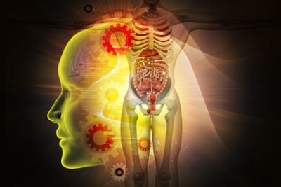 Intéroception, le sens de la vie