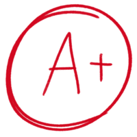 Darulbayan Students Achieve Outstanding A-Level Results!