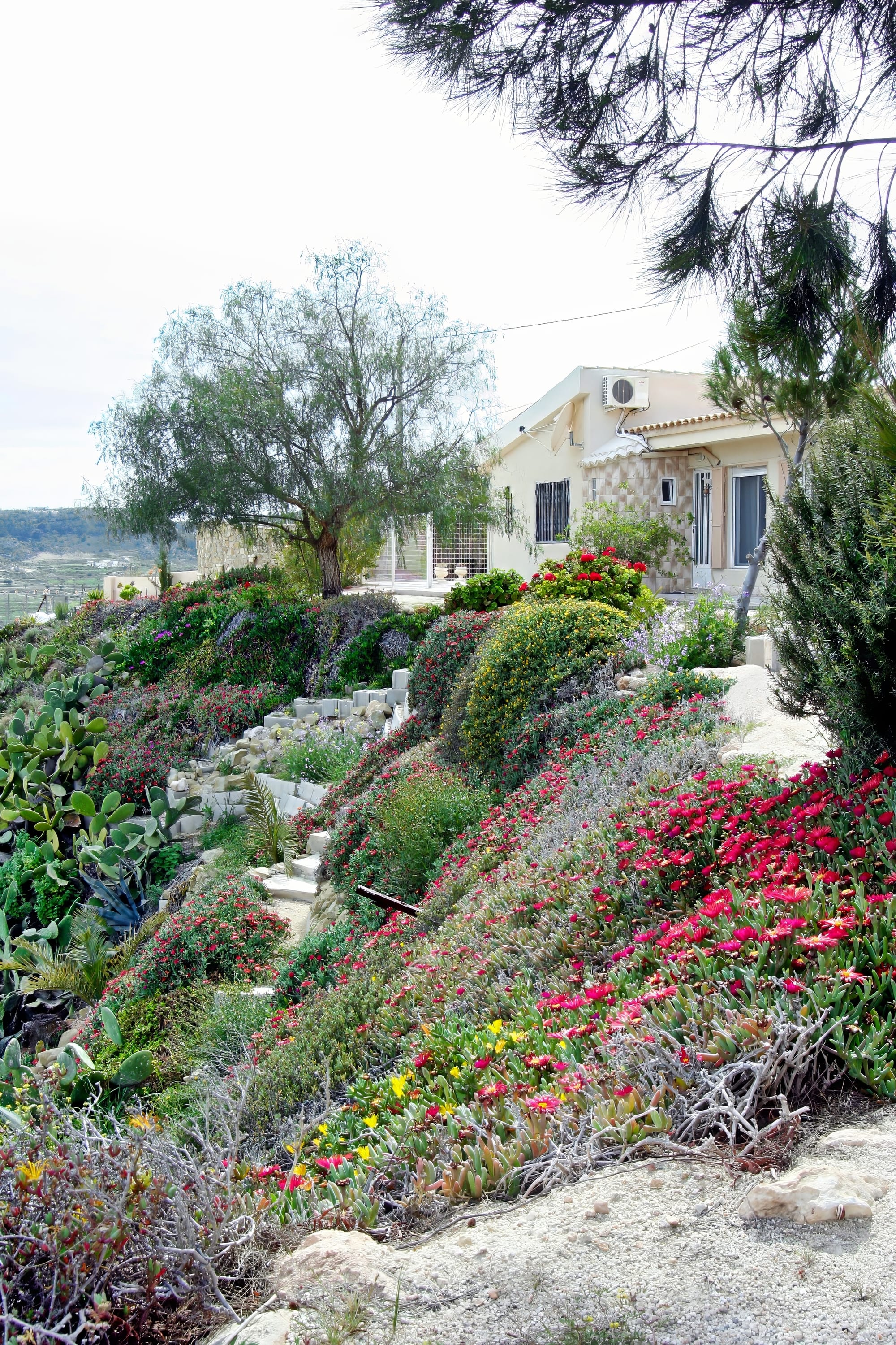 Walk along the villa