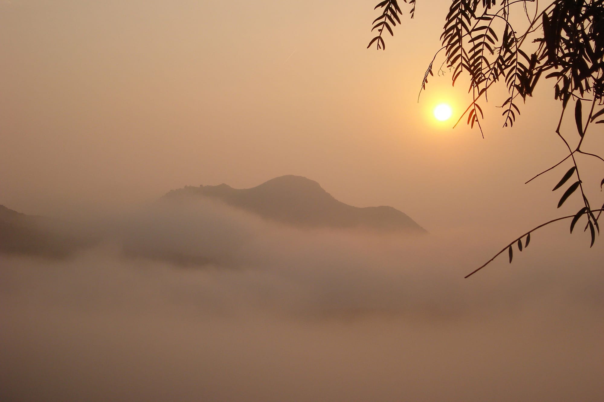 Scenic views and 180/360 degree panoramic views