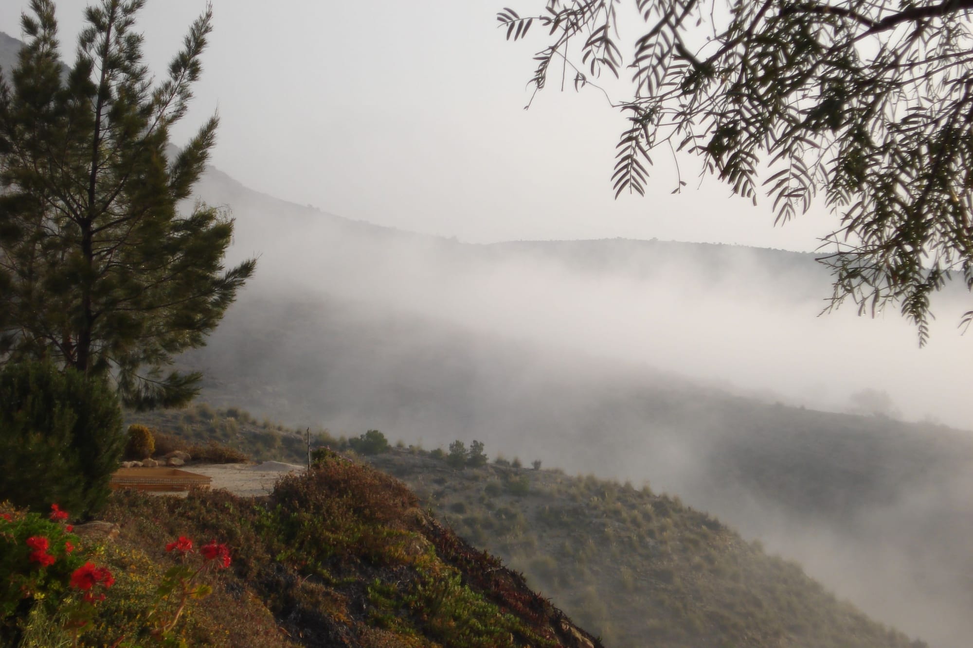 Scenic views and 180/360 degree panoramic views