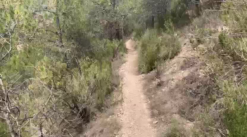 Mountainbiking