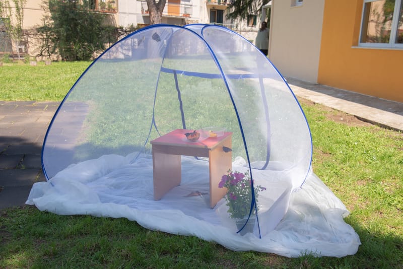 Progetti scuola , kit educativi , immersioni a contatto con le farfalle esotiche