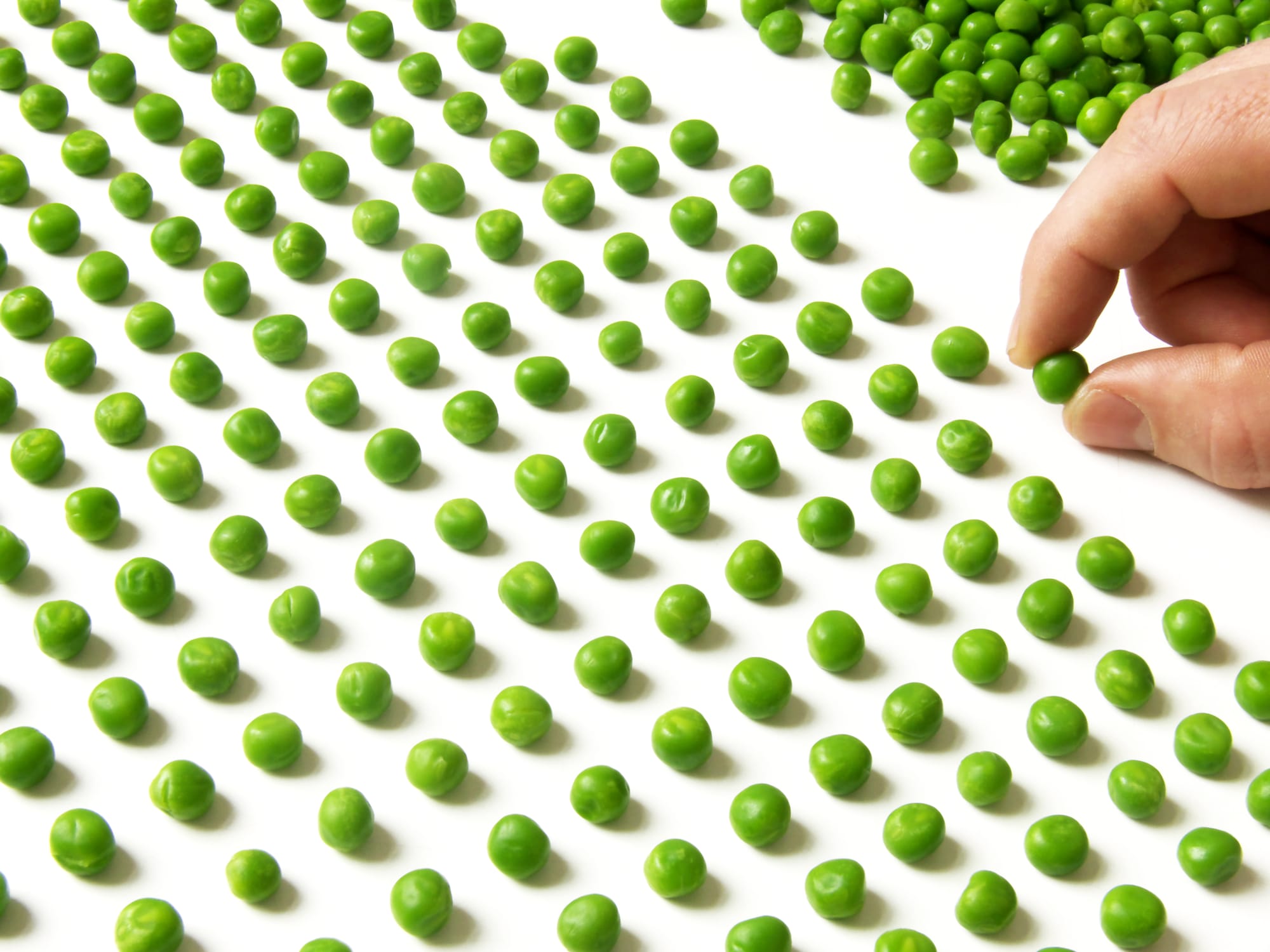 טיפול ב- OCD: שלב ההכנה לחשיפה