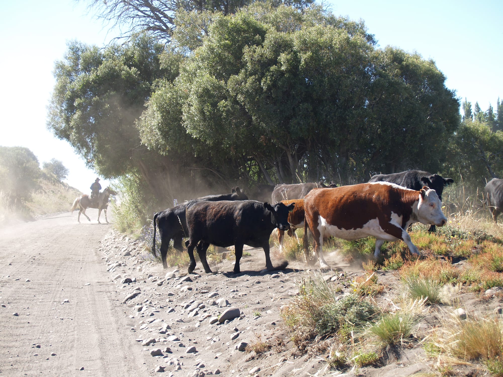 Fotos de Ana F. Matarán