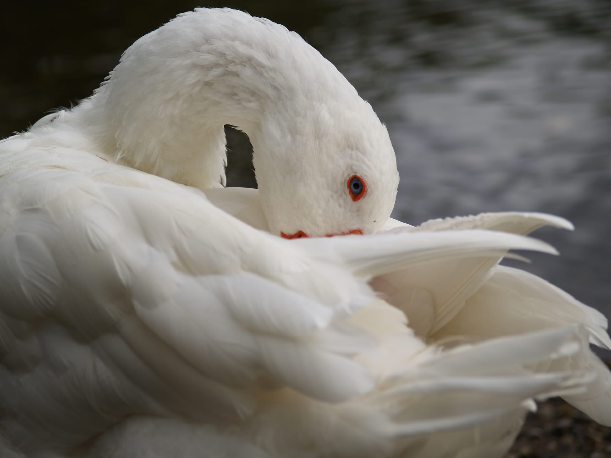FotografíAs de Ana F. Matarán.