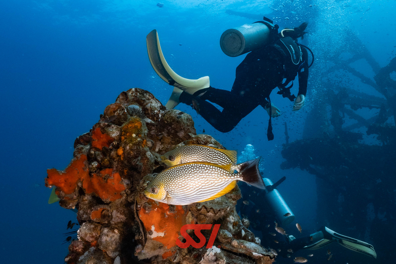 Try Scuba