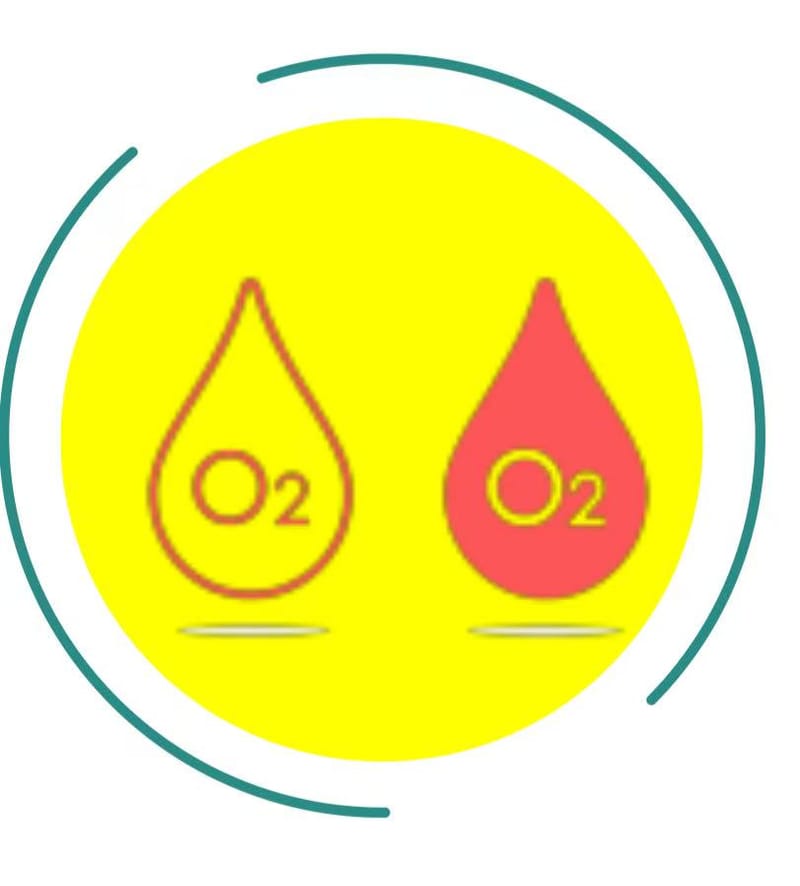 Blood Oxygen Saturation (SpO₂)