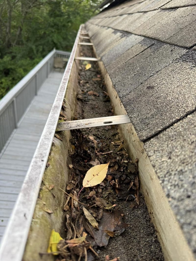 Gutter Cleaning