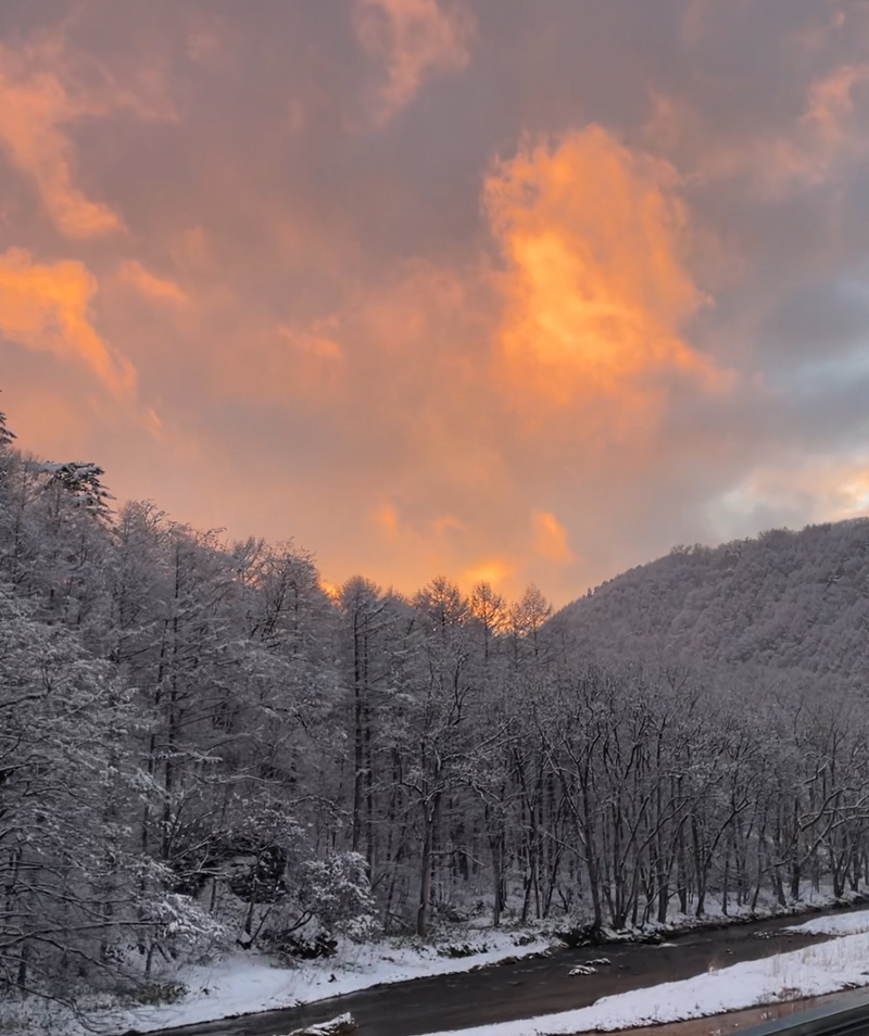 ❄️ Winter Guide Tours (Coming Soon)