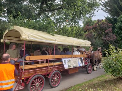 Navettes, transport de personnes