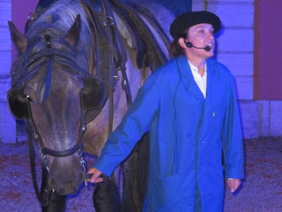 Animations sur le cheval de trait